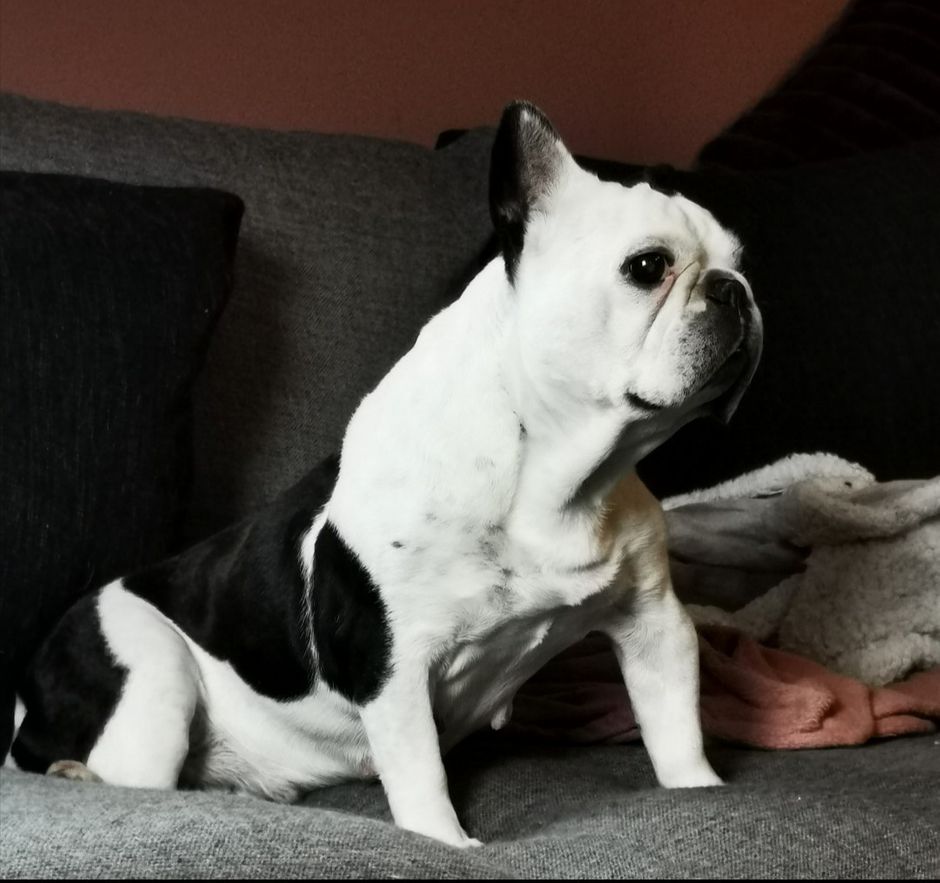 Almost 13 years old